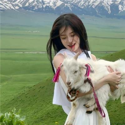 无名家族封面